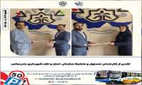 تقدیر از کارمندان مسئول و منضبط سازمان حمل و نقل شهرداری بندرعباس 